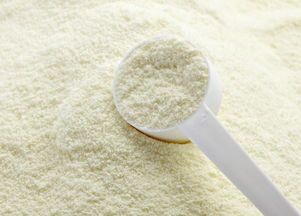 奶粉用温奶器能放多久