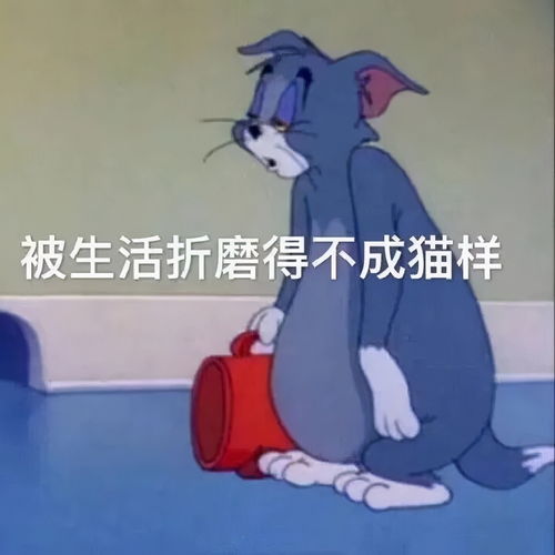 搞笑夫妻对话段子