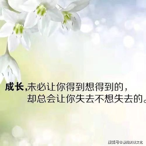 一句话的简单早安说说心情短语