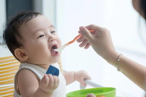 妈妈如何判断宝宝是否需要添加辅食了