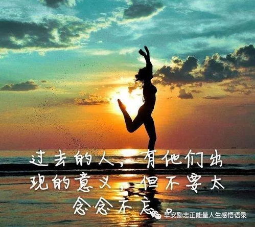 容易热门的文案,关于感情的