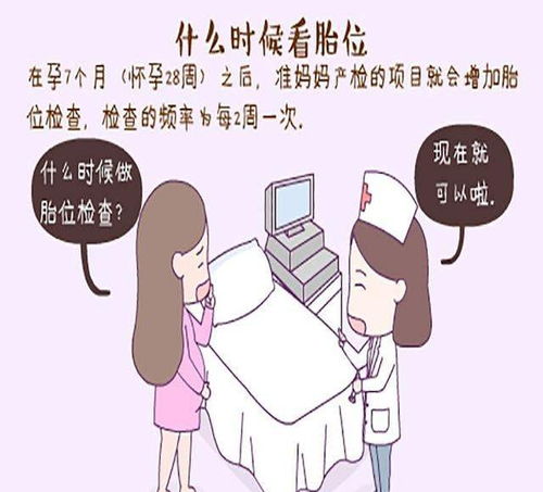 胎位不正可以倒立吗图片