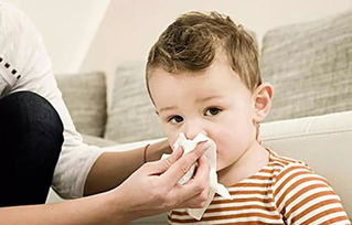流清鼻涕是什么感冒