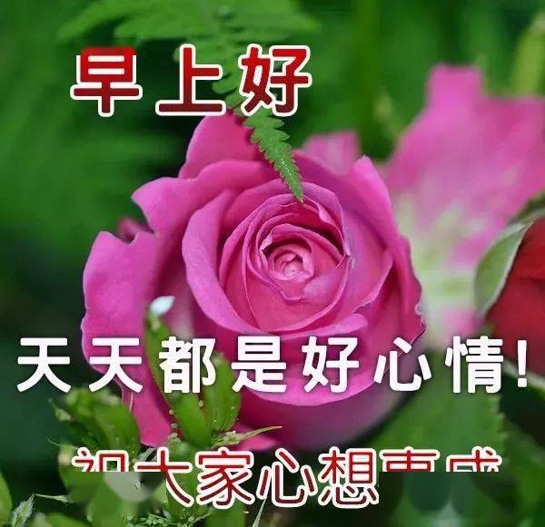 祝姐姐生日快乐暖心句短句