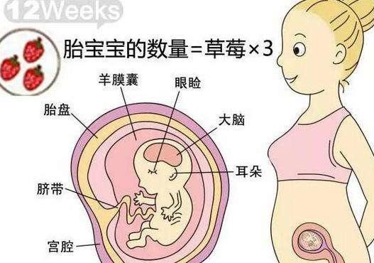 我老婆怀孕11周怎么还没见到胎心呢