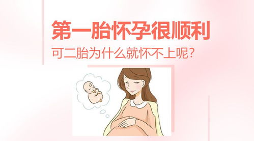 想要二胎却怀不上怎么回事