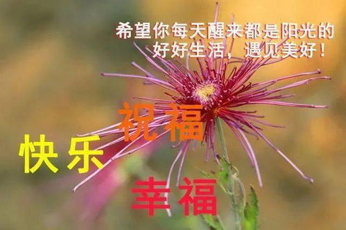 早安问候暖心的短句图片带字