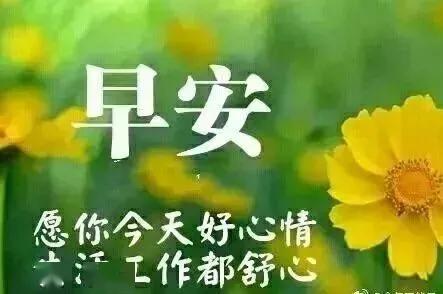 早安问候暖心的短句图片带字