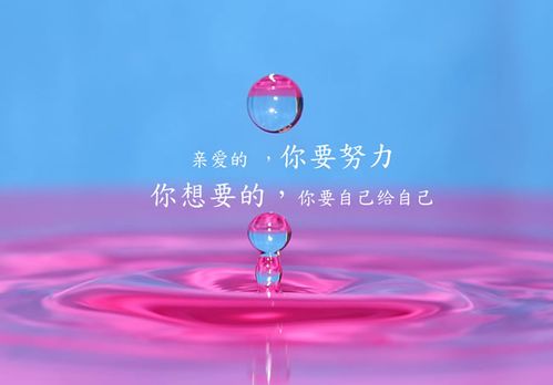 高考简短祝福语特殊的