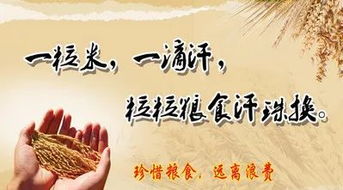 不浪费粮食的名言名句