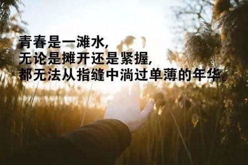 充满正能量的人生哲理短句