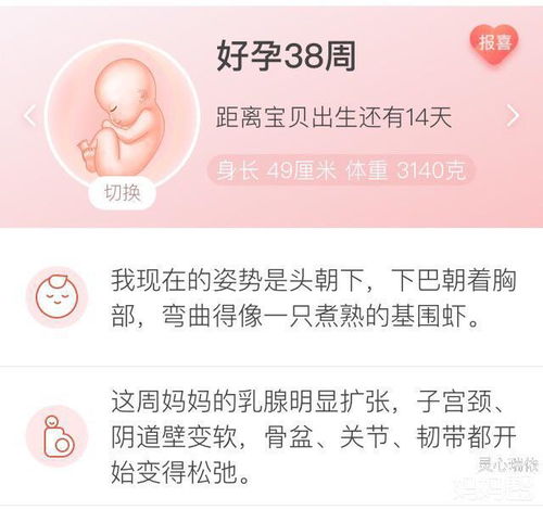 怀孕14周可以做nt检查吗