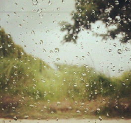 雨夜听雨唯美短句