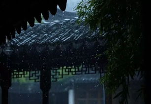 雨夜听雨唯美短句