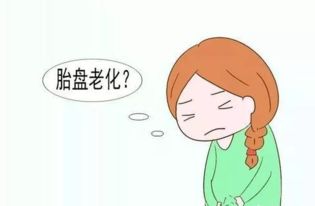 胎盘分级是什么意思二到三级