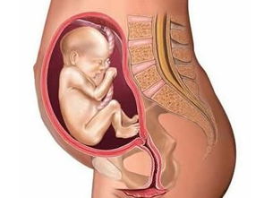 宝宝在肚子里缺氧母体有什么症状