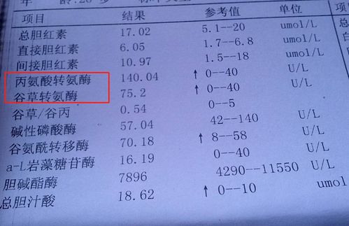 谷草谷丙转氨酶碱性磷酸酶偏高是怎么回事？