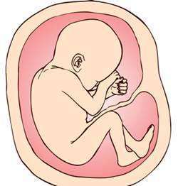 怀孕三十九周了,胎盘是一级正常吗