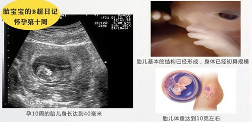 怎么样查是不是怀孕了？