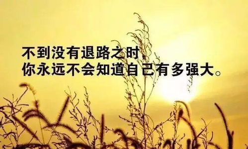 情人节和清明节的梗