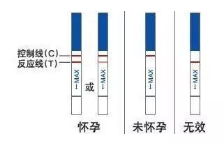 验孕棒怎么看是否怀孕