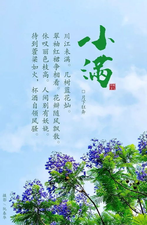 2021最新芒种祝福语说说