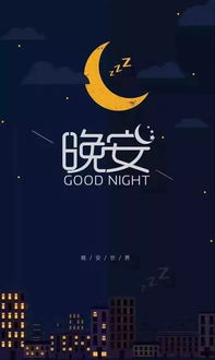 good night 晚安