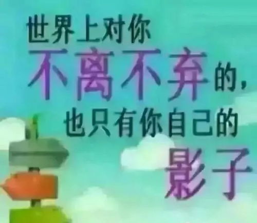 微信最近很火的句子