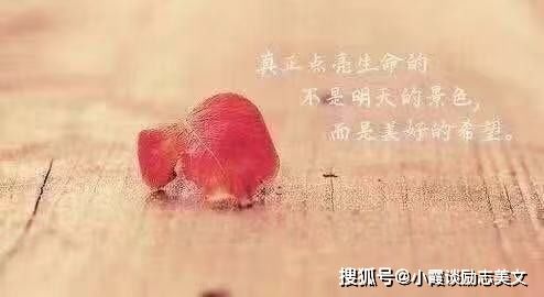 关于很甜很撩的句子大全