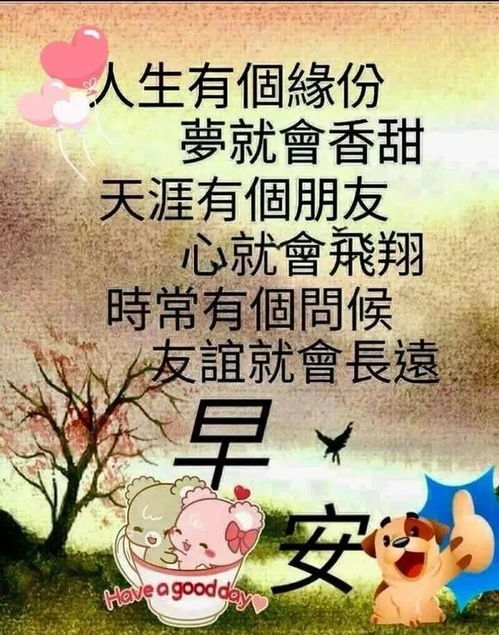 红颜知己聊天很暧昧