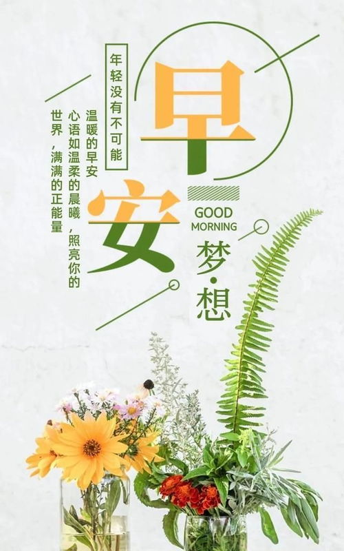 每日心灵鸡汤励志句50句