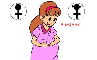 生男生女有哪些因素决定