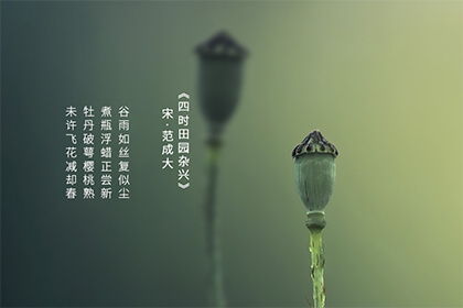 现在下雨的是24节气中的谷雨吗?