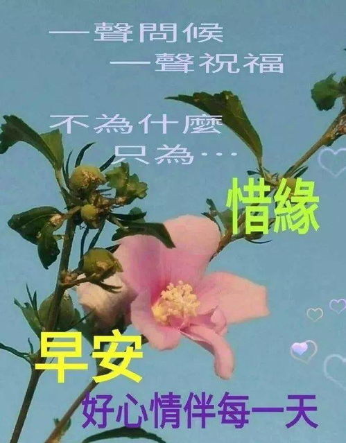 冬季祝福的图片唯美