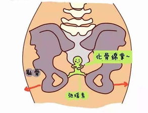 孕晚期老头晕