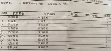 白带常规检查没问题但是外阴痒