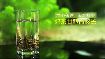 高级绿茶说的话