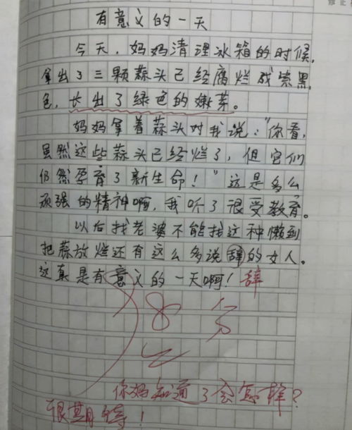 小学生未来可期的句子