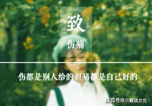 和花拍照的朋友圈文案[精选112句