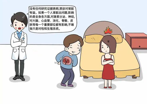 同房次数多对肾是否有影响呢?