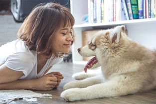 赞美狗狗的优美句子短句