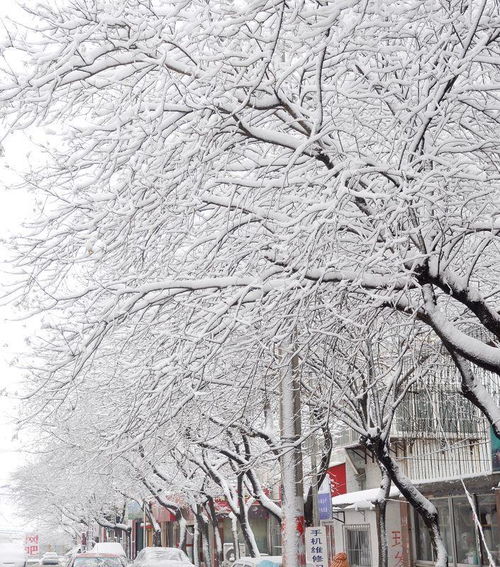 三月下雪对庄家好吗？