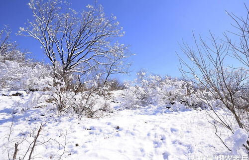 三月下雪对庄家好吗？