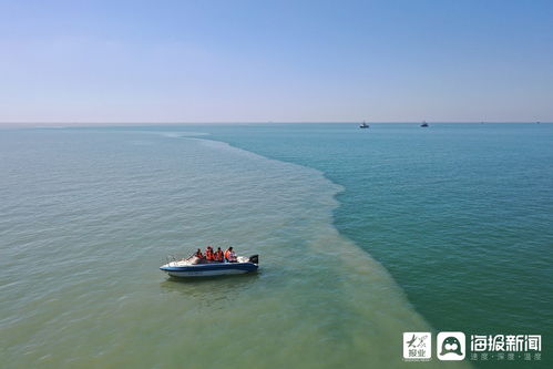 黄河与大海交汇处视频