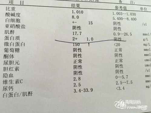 脐血流值1.97正常吗