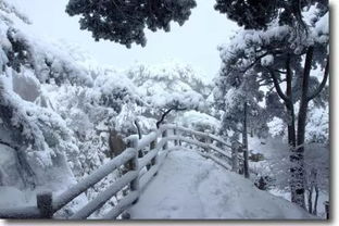 和爱人一起看雪景的诗句