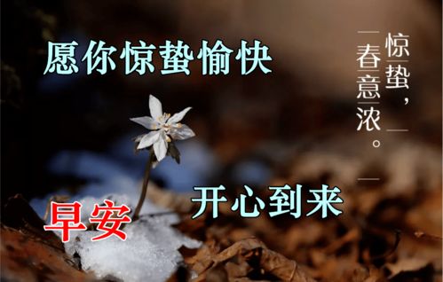 愿你们健健康康平平安安的长大