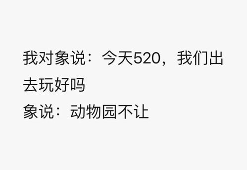 8个字温柔浪漫的文案