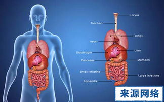 肠息肉有啥症状