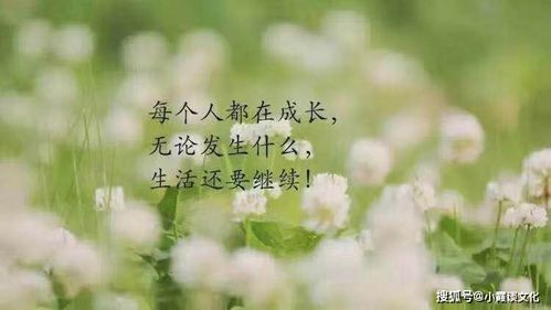 可以治愈心灵的句子